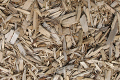 biomass boilers Wyberton